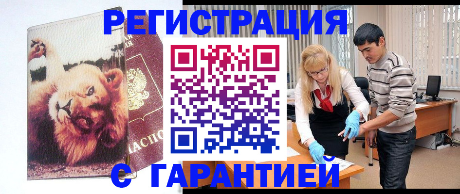 временная регистрация поиск в Курчалом